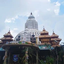  Chengalpattu drop taxi